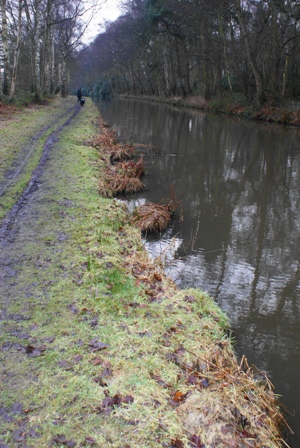 Canal Retaining Wall Erosion
